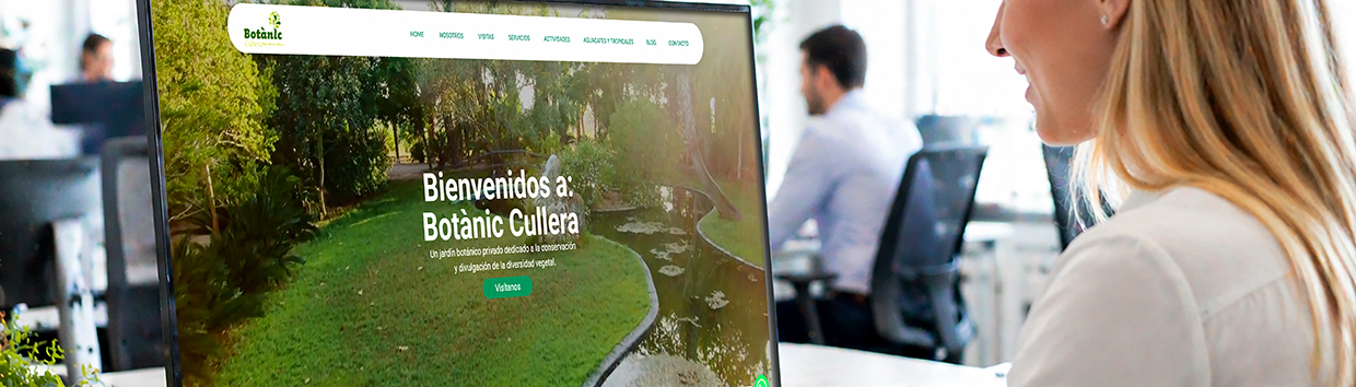 03 servicios home SOLUCIONES WEB OKOK